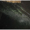 用戶頭像