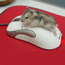 ���е�����