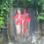 斯文野狼