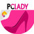 PCLADYʱ����־