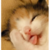 ˭��˭��˭