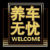 养车无忧