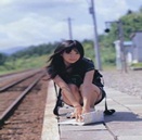 ���ƽ�ʢ�κ�����