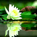 *��������*