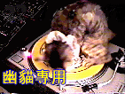 我就不想要昵称