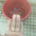 С��������