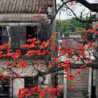 ������ʵ