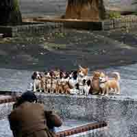 �뿴���۾���