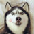 Ů�ѵ�һ����