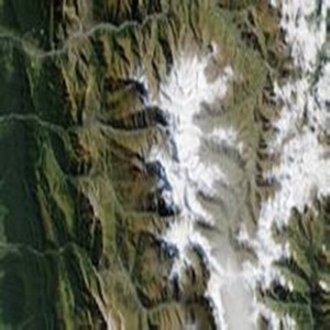 �������ͷ