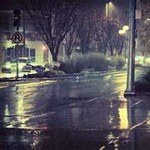 ���Ź����Ƿ�