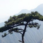 ��̳����