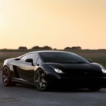 ������Ұ��