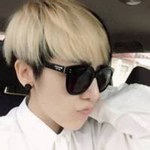 �����954yoyo