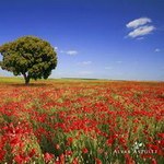 �����С��