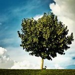 ����Ҫ���