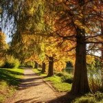 Yuchen������