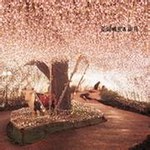 Doublechen������