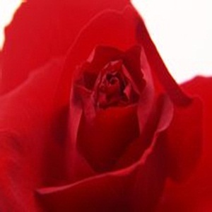 ������С��