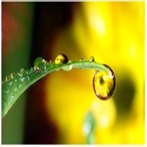 �ڻ�����ĺ�