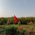 ��Ȫ1001