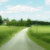 ��·