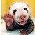 babygm123