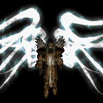 ��֪�δ�����