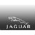jaguar-1