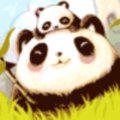 lidexiong