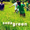 soda green