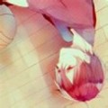 sgfsgfsdgsdf